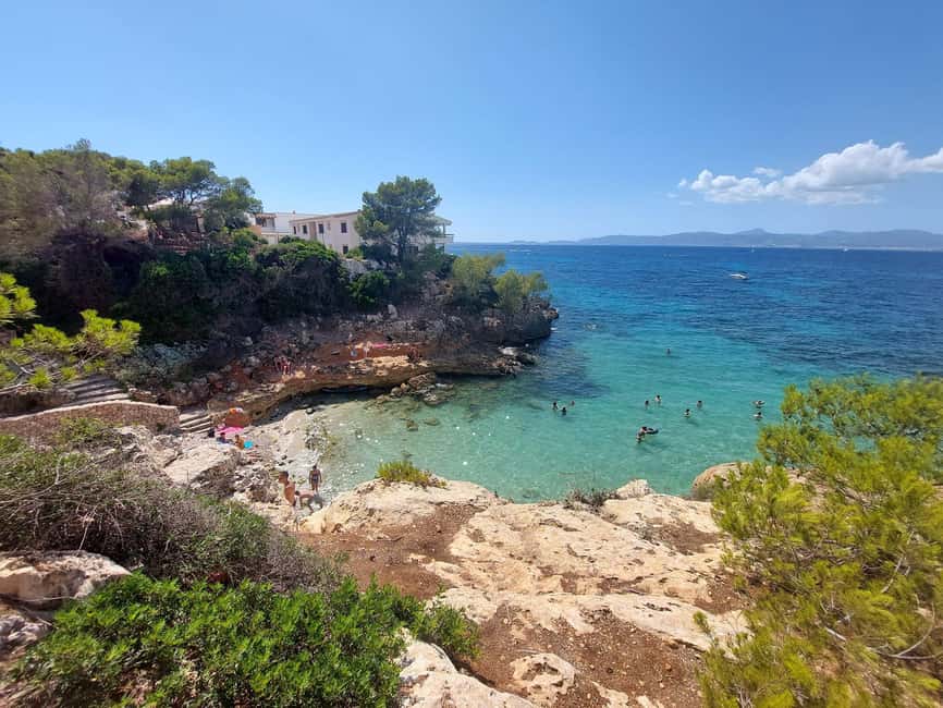 Palma de Mallorca: 2-Seater Buggy Adventure - Driving requirements, weight limits, and other rules you must respect