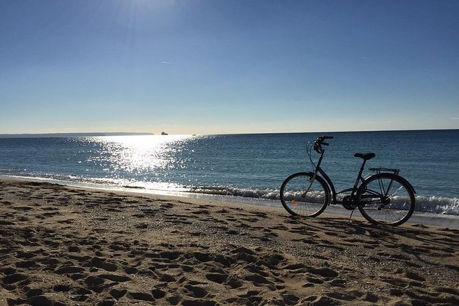 Palma de Mallorca 3-Hour Highlights and Tapas Tasting Bike Tour - Es Baluard: city history with a bay view