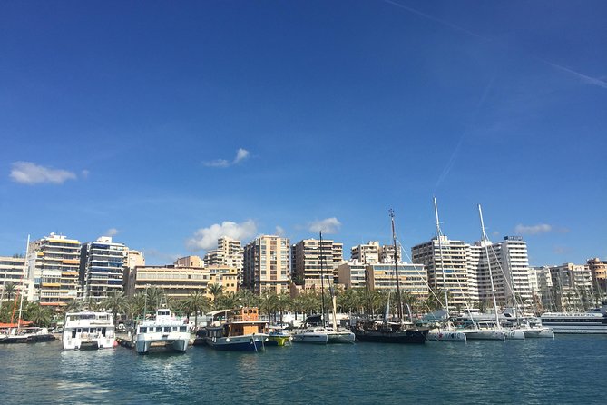 Palma de Mallorca Bay Boat Trip - Stop-by-Stop: Cathedral Photo Moment and the Main Sights