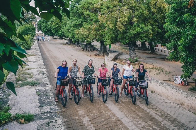 Palma de Mallorca Bike Tour - Easy-Paced Palma Riding: Harbor Views to La Seu