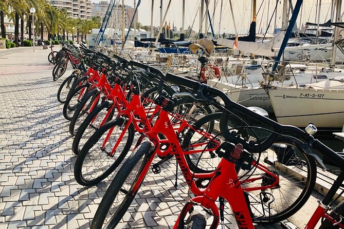 Palma de Mallorca Bike Tour with tapas - City streets, Passeig des Born, and Palma’s mix of old and lively