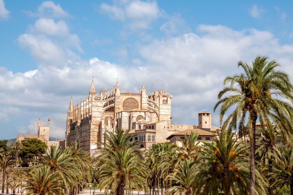 Palma de Mallorca: City Sightseeing Hop-On Hop-Off Bus Tour - From Top Deck to Town Square: What This Palma Bus Really Does