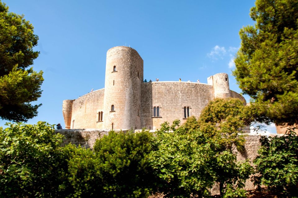 Palma de Mallorca: City Sightseeing Hop-On Hop-Off Bus Tour - Avenida Alexandre Rosselló, Porta des Camp: From Streets to City Views