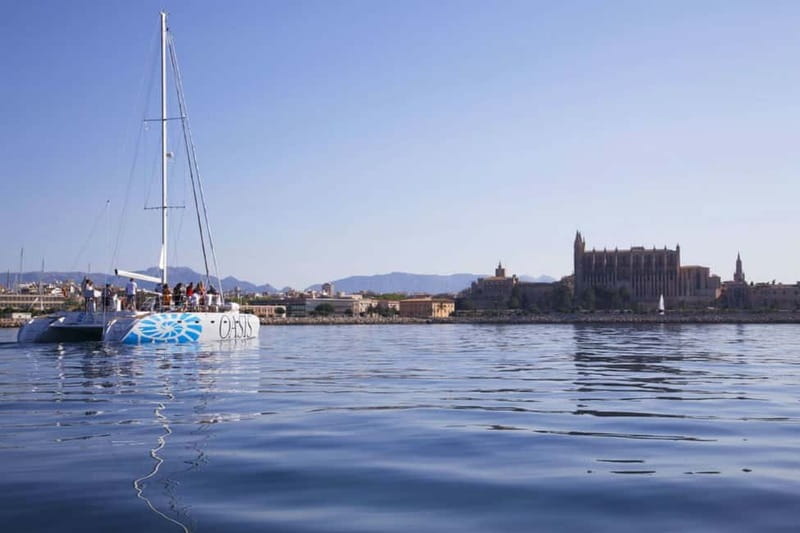 Palma de Mallorca: Deluxe Catamaran Sailing Tour with Meal - What to bring (and what to watch for)