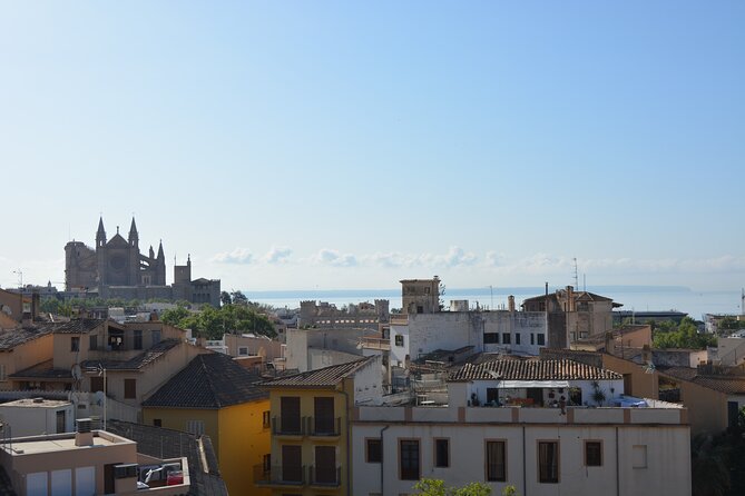 Palma de Mallorca Easy Bike Tour (Small Groups) - Stop 1: Call & Ride Mallorca Sets You Up to Ride Confidently