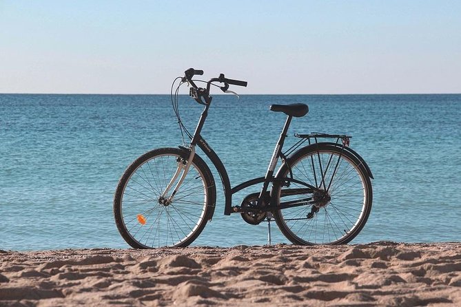 Palma de Mallorca Easy Bike Tour (Small Groups) - Parc de la Mar: A Quiet Break Under the Cathedral Shadow