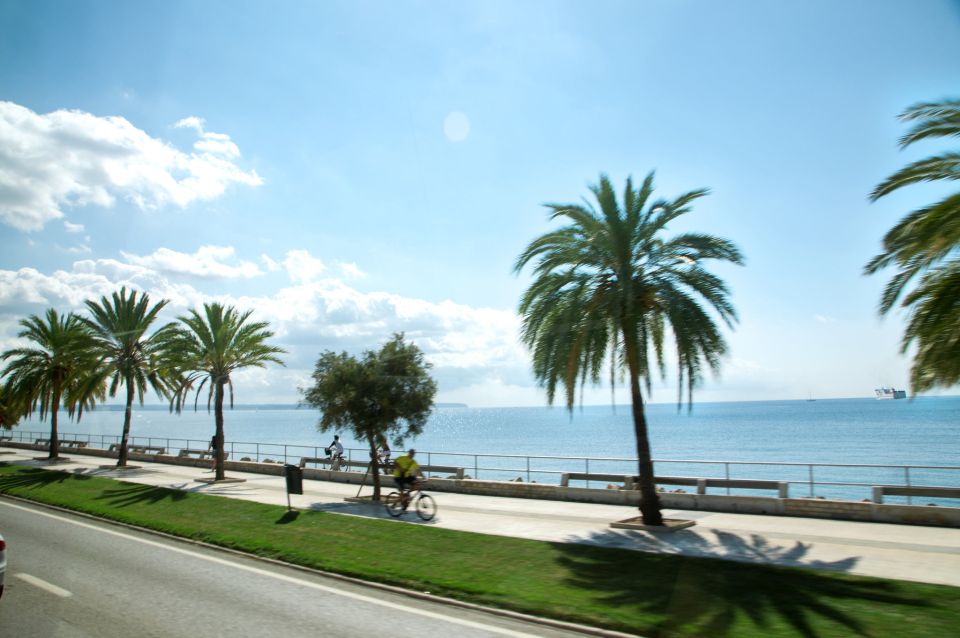 Palma de Mallorca: Full-Day Tour with Departure Options - Getting dropped off in the right Palma spot by the Cathedral