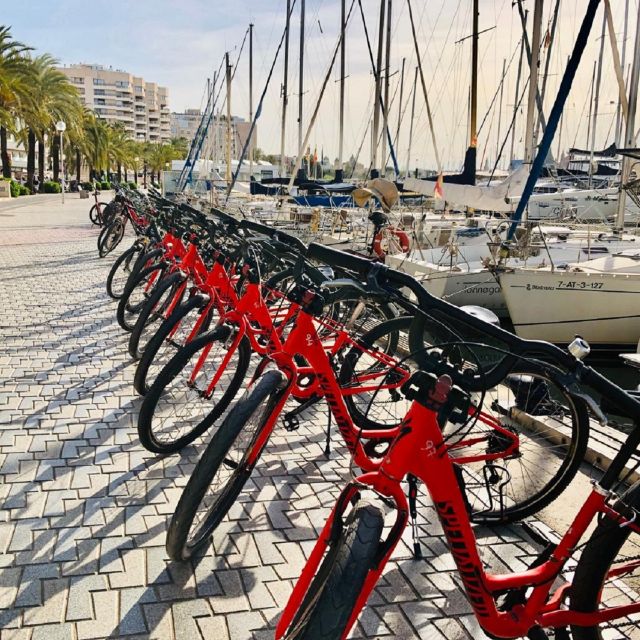 Palma de Mallorca: Guided Bicycle Tour with Tapas & a Drink - Why This Palma Bike-and-Tapas Mix Works So Well