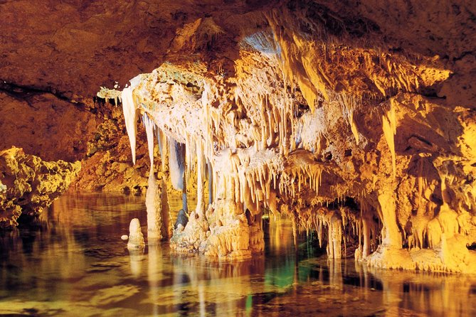 Palma de Mallorca Half-Day to Caves of Hams, Blue Cave and film - Cuevas dels Hams: what the cave walk is really like