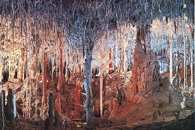 Palma de Mallorca Half-Day to Caves of Hams, Blue Cave and film - Blue Cave time (and the film part) without getting your hopes too high