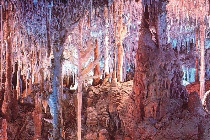 Palma de Mallorca Half-Day to Caves of Hams, Blue Cave and film - Price and logistics: is $57.19 a good deal?