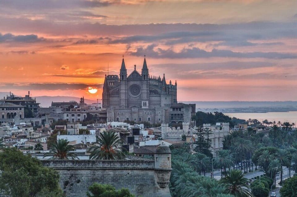 Palma de Mallorca : Must see Walking Tour With A Guide - Starting at Pg. del Born: the smooth way to get oriented