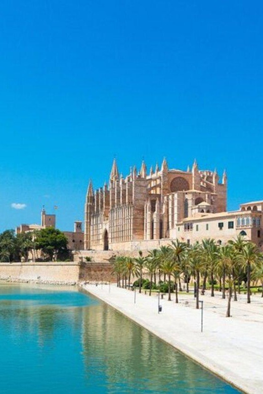 Palma de Mallorca : Must see Walking Tour With A Guide - Plaça de Santa Eulàlia and Basílica de Sant Francesc: religious landmarks with a reason