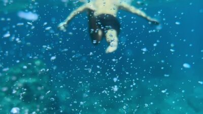 Palma de Mallorca: North Coast Nature Escape Day Tour - Stop 1: First Walk and Swim on the Northern Coast