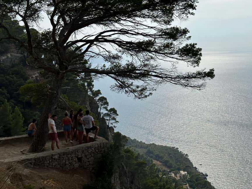 Palma de Mallorca: North Coast Nature Escape Day Tour - The Pace, the Group, and What Makes It Worth $90