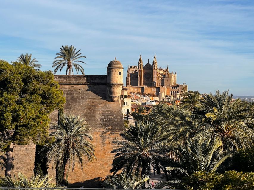 Palma de Mallorca: Old Town Atmospheric Evening Tour - Why Palma at Night Feels More Real Than Daylight