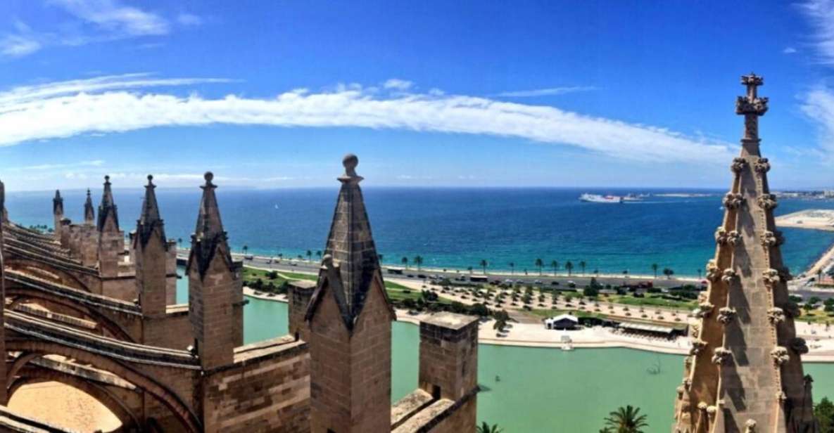 Palma de Mallorca: Old Town Guided Tour & Cathedral Visit - Price and Logistics: Is $67 Good Value for This Palma Day?