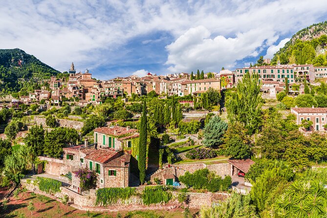 Palma de Mallorca Shore Excursion: Private Tour of Valldemossa, Soller and Serra de Tramuntana - How the private guide experience shows up in real life