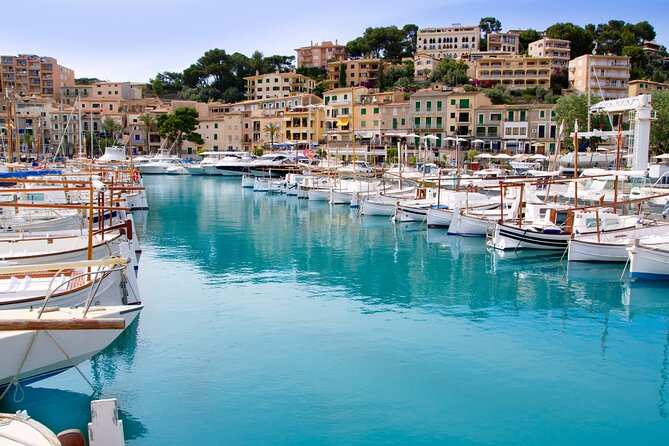 Palma de Mallorca Shore Excursion: Private Tour of Valldemossa, Soller and Serra de Tramuntana - Price and what $590.14 per person really buys