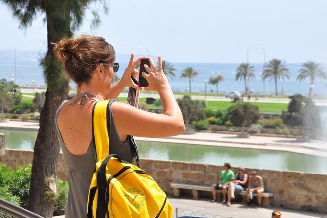 Palma de Mallorca Sightseeing Day Tour - Price, Comfort, and Group Size: Is It Good Value?