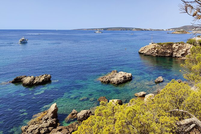 Palma de Mallorca: Small Group Tour by Locals in Hidden Coves - Key highlights worth showing up for