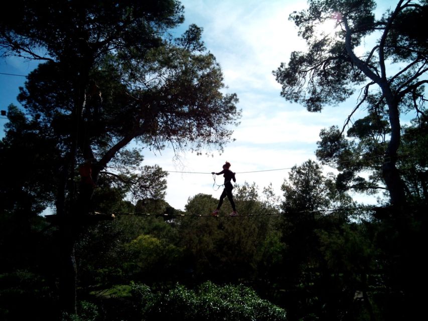 Palma: Family or Sports Course Adventure at Forestal Park - Forestal Park Mallorca: a treetop adventure that fits families and thrill seekers