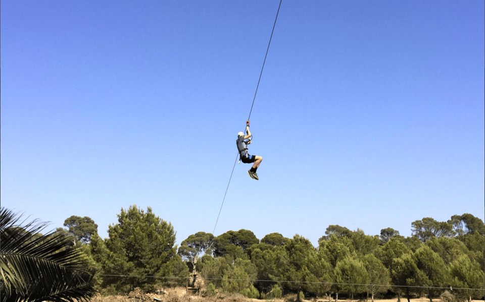 Palma: Family or Sports Course Adventure at Forestal Park - The best parts: zip line length, Tibetan bridges, and how the course is paced