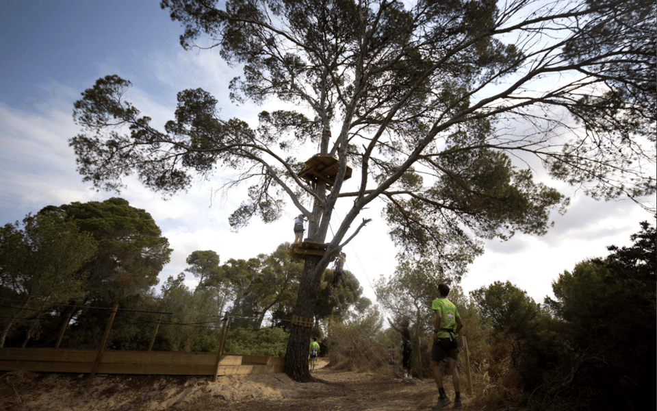 Palma: Family or Sports Course Adventure at Forestal Park - Who should book Forestal Park Mallorca from Palma, and who might skip it