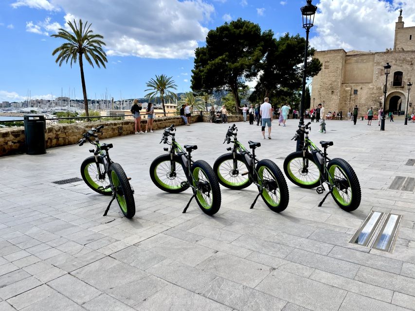Palma: Guided City Tour with a Fat Tire E-Bike - The Cathedral of Light: the stop you’ll remember