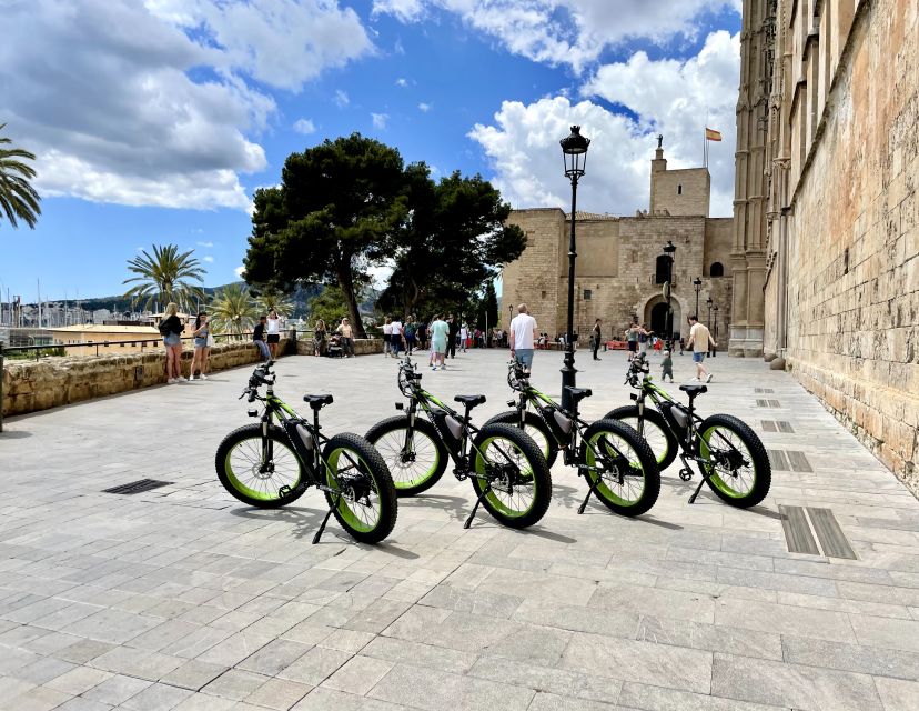 Palma: Guided City Tour with a Fat Tire E-Bike - Palma Bay along the promenade: Portixol to El Molinar