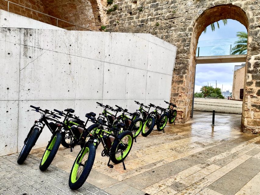 Palma: Guided City Tour with a Fat Tire E-Bike - Why the guide matters as much as the route
