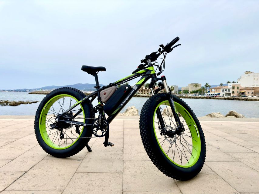 Palma: Guided City Tour with a Fat Tire E-Bike - Where the ride starts near the Cathedral and Almudaina