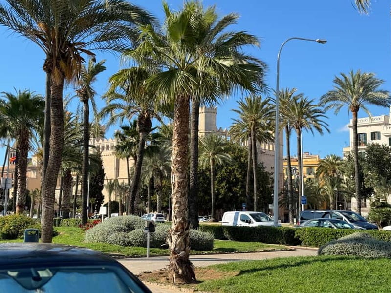 Palma in person and away from the crowds - La Seu Cathedral: learn what to look for, not just where it is