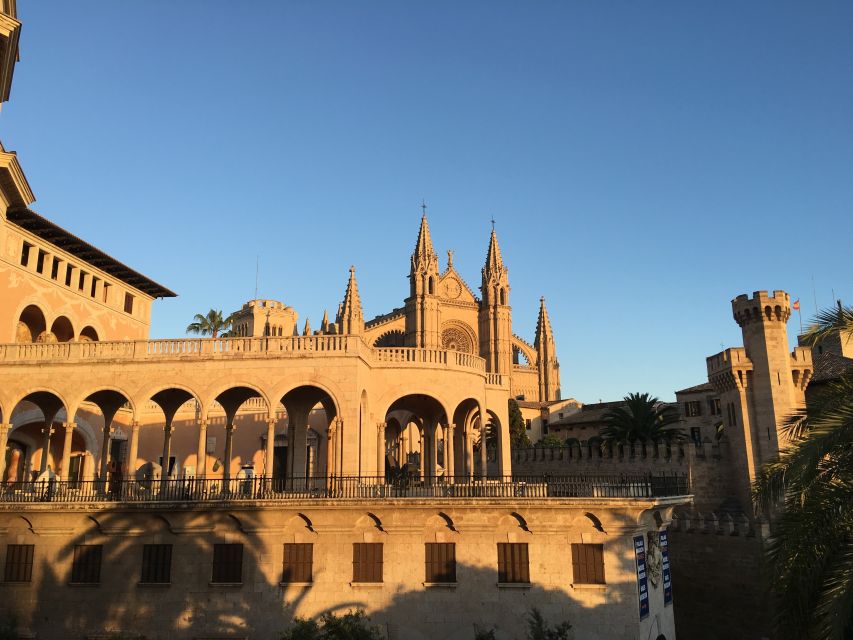 Palma Old Town Sunset Tour and Food Tastings - Plaça de Cort: power, an ancient olive tree, and a real sense of place
