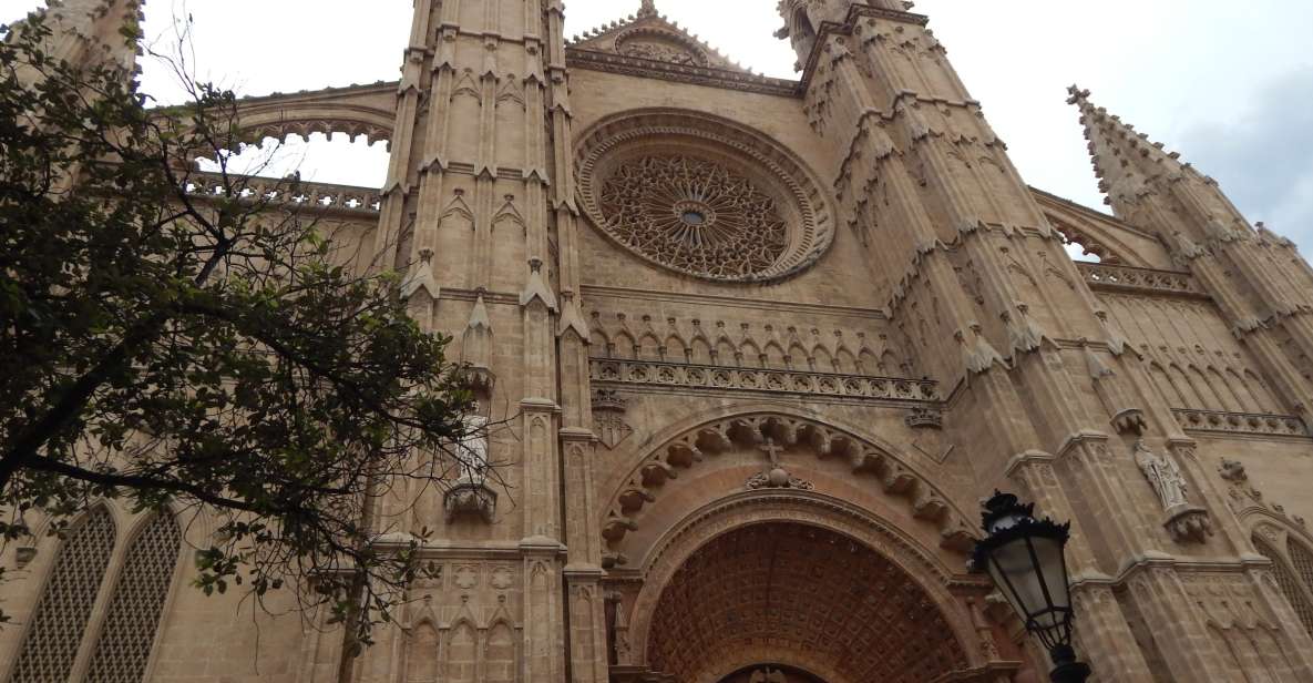 Palma: Old Town Walking Tour & Cathedral Skip-the-Line - The meet-up and first walk: getting oriented fast