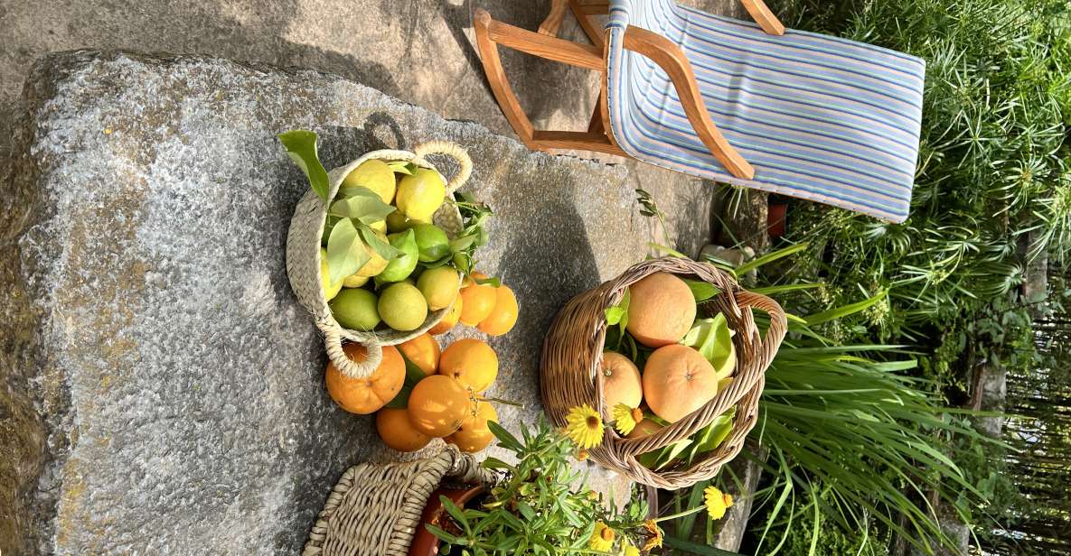 Palma: Orange Farm, Olive Mill, & Winery Tour with Tastings - Key highlights worth planning for
