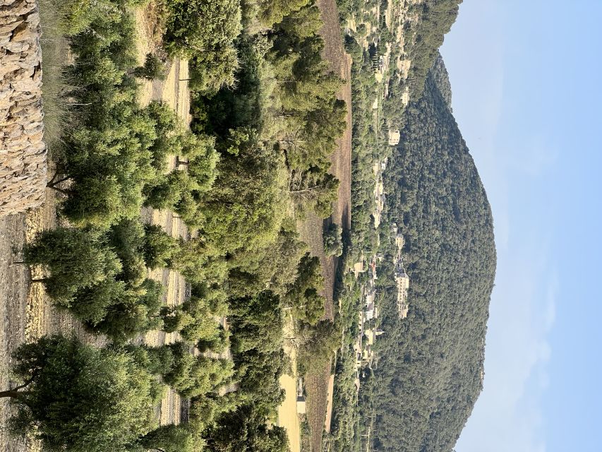 Palma: Orange Farm, Olive Mill, & Winery Tour with Tastings - The Real Value: What You Get for $221 in 7 Hours