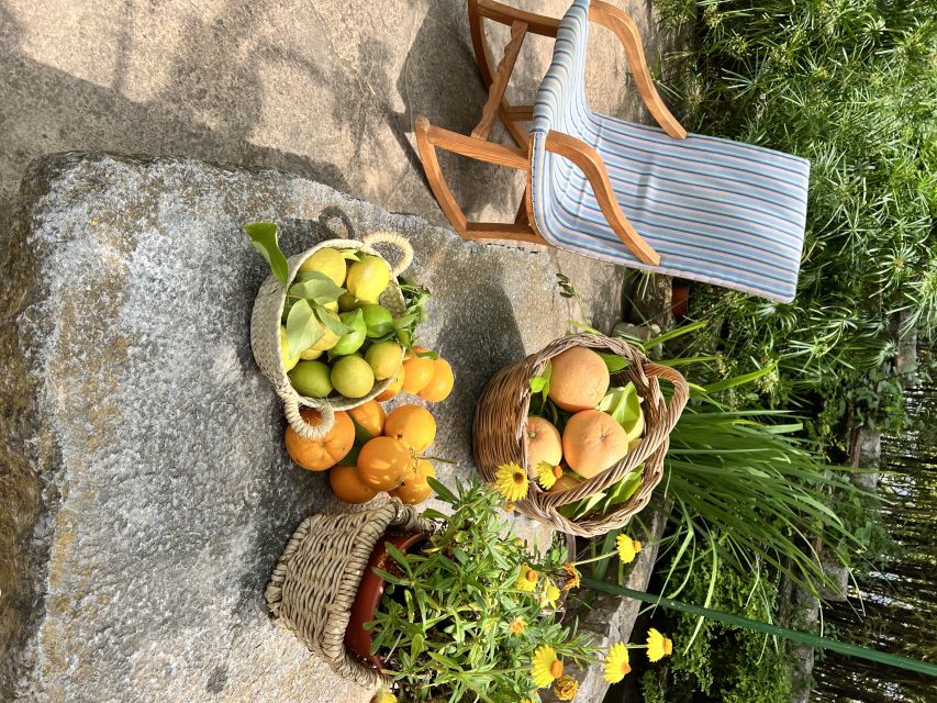 Palma: Orange Farm, Olive Mill, & Winery Tour with Tastings - Orange Farm Time in the Tramuntana: Fresh Juice, Self-Guided Pace