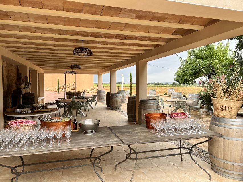 Palma: Orange Farm, Olive Mill, & Winery Tour with Tastings - Olive Estate and Mill Visit: The Oil Story You Can Actually Taste