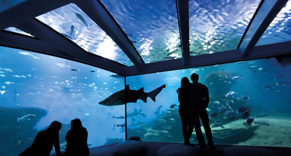 Palma: Palma Aquarium Ticket with Transfer Service - Price and value: what $39 covers, and what you may add