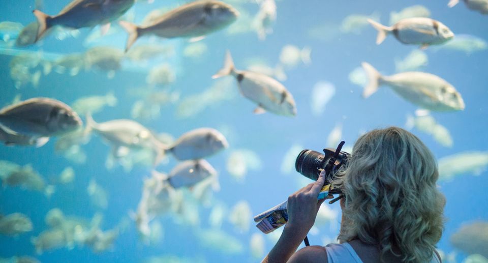 Palma: Palma Aquarium Ticket with Transfer Service - Jellyfish area and the 1-kilometer illuminated walk