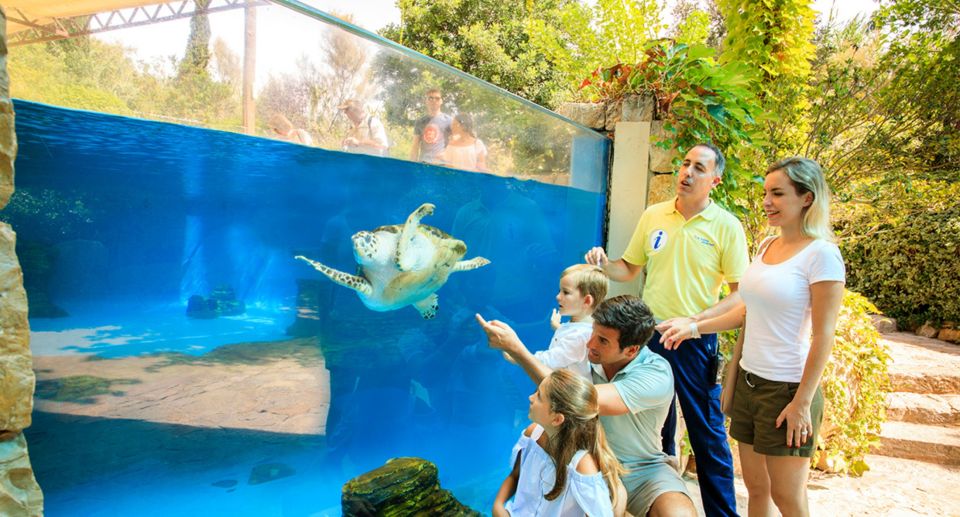 Palma: Palma Aquarium Ticket with Transfer Service - Timing tips so your one-day ticket actually feels like enough