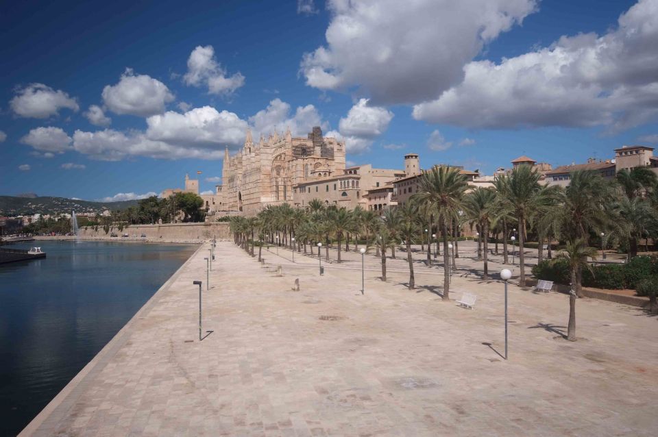 Palma: Walking Tour with Mediterranean Delicacies - Who this Palma tour suits best (and who might want a different plan)