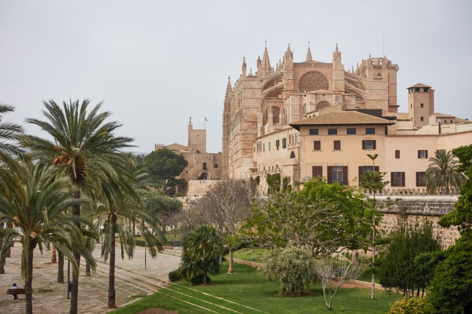 Palma: Walking Tour with Mediterranean Delicacies - The old town maze and Paseo del Borne