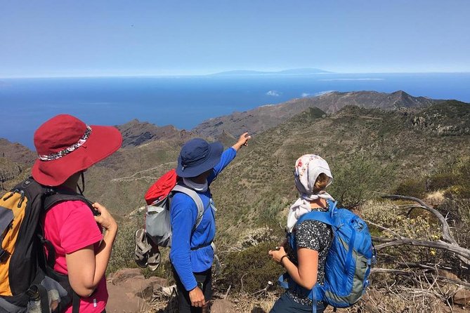 Panoramic route across the Teno rural Park in Tenerife - Key highlights worth planning around