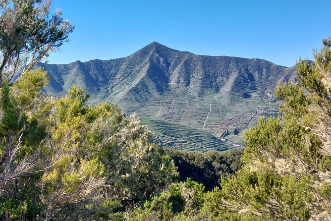 Panoramic route across the Teno rural Park in Tenerife - Food stop option: goat cheese, meat, wine, and pastries