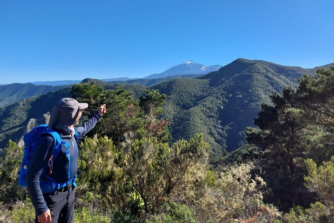 Panoramic route across the Teno rural Park in Tenerife - Why Sergio-style guiding matters on this terrain