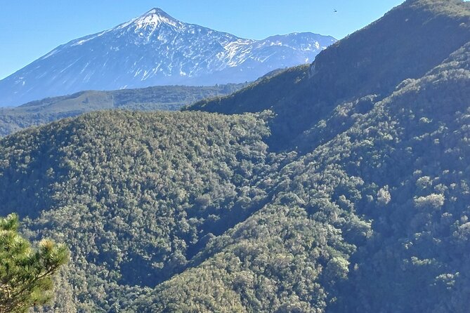 Panoramic route across the Teno rural Park in Tenerife - Price and value: what $113.84 covers (and why it’s not just a guide fee)