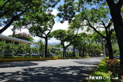 Papeete Walking Tour - Tahiti - The private-tour vibe: small group, room for questions