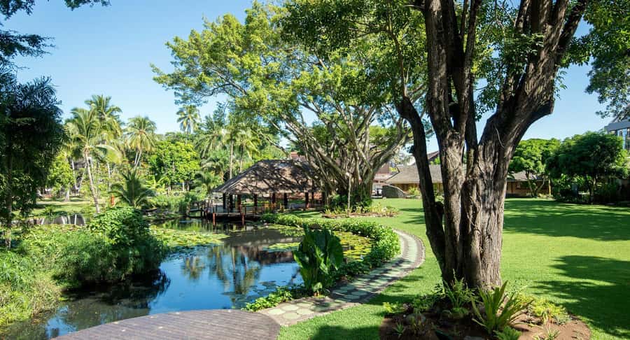 Papeete : walking tour - Bougainville Park: a calmer beat in the middle of the city